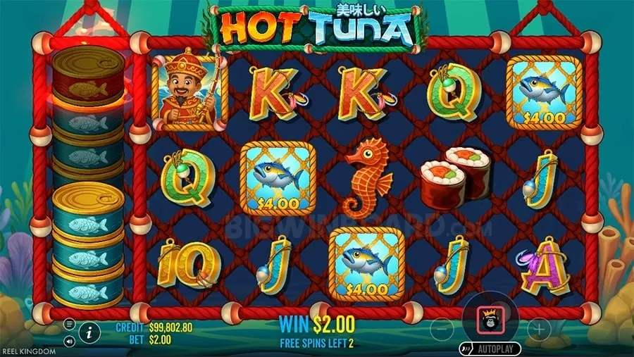 pko88 Responsible Gaming Support